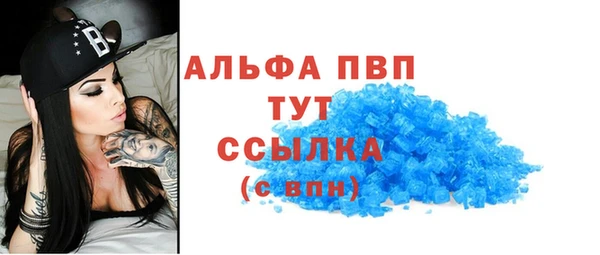 сатива Вяземский