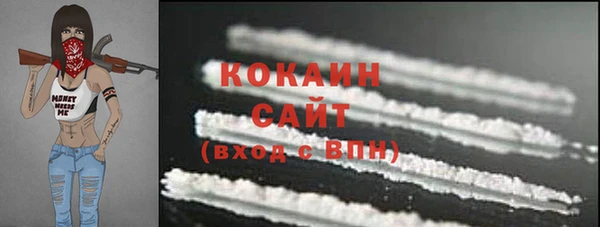 сатива Вяземский
