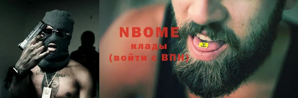 сатива Вяземский