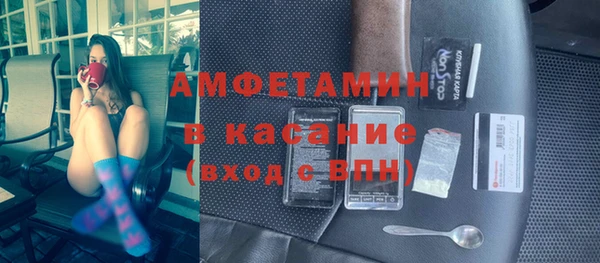 сатива Вяземский