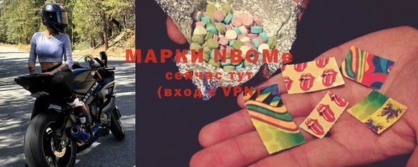 сатива Вяземский