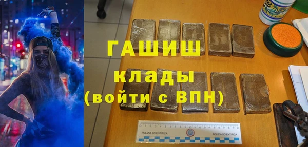сатива Вяземский